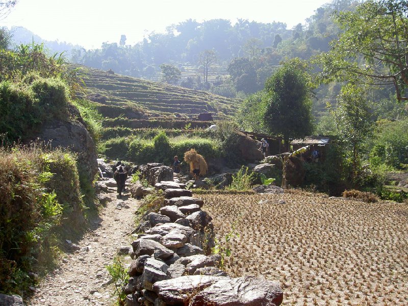 Annapurna Nepal 