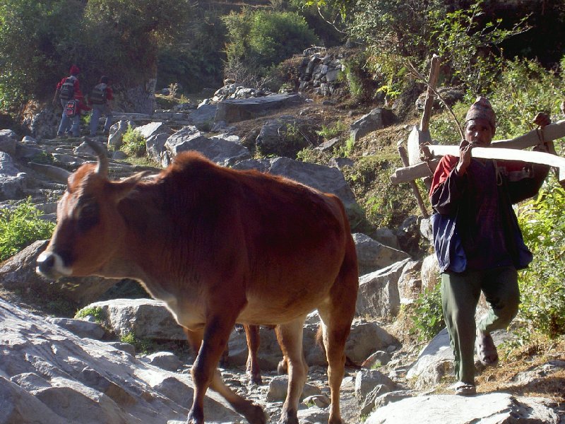 Annapurna base camp trek Nepal Diary Pictures