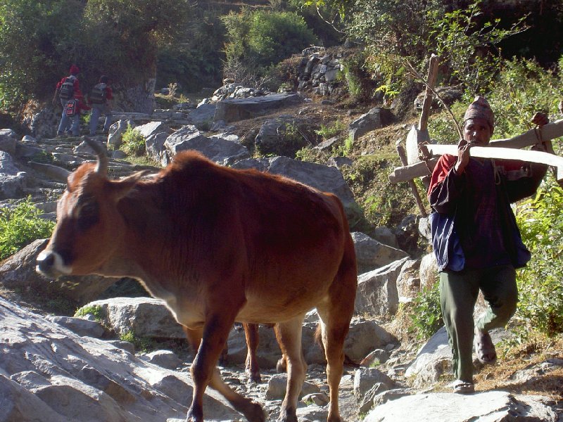 Annapurna base camp trek Nepal Diary Pictures