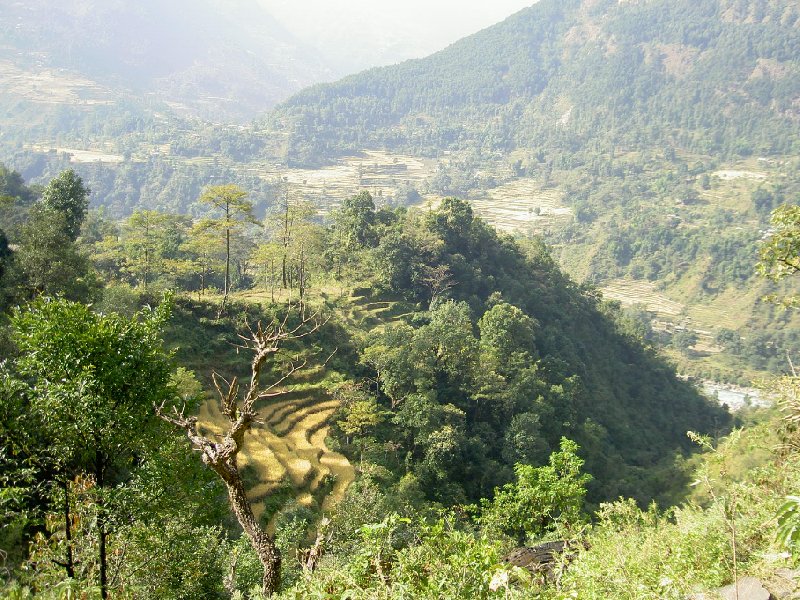 Annapurna Nepal 