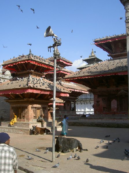   Annapurna Nepal Trip Sharing