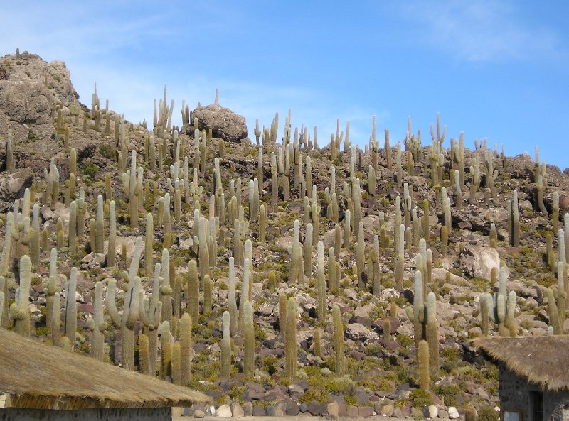 Uyuni Bolivia 