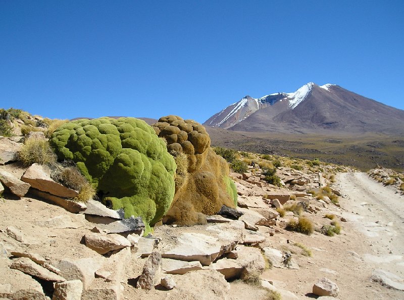   Uyuni Bolivia Blog Review