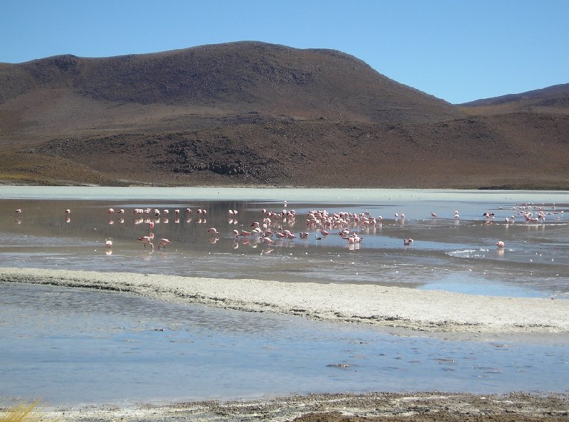   Uyuni Bolivia Diary Information