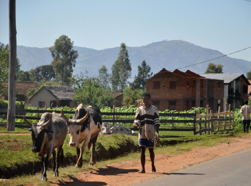 Madagascar Travel Ambositra Diary Photography