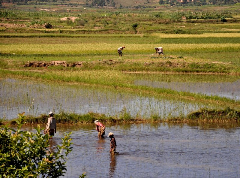 Madagascar Travel Ambositra Experience