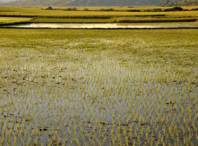 Ambositra Madagascar 