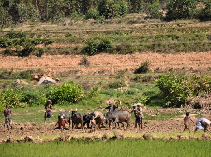 Madagascar Travel Ambositra Travel Gallery