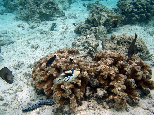 Photo Northern Mariana Islands everywhere