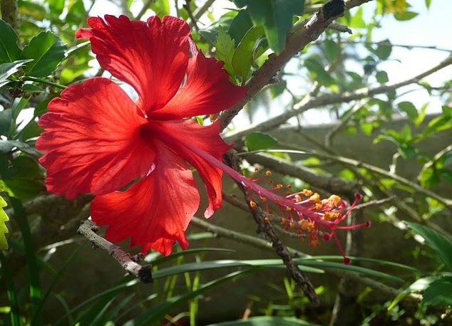 Two Lovers Point Guam Tamuning Review Photograph