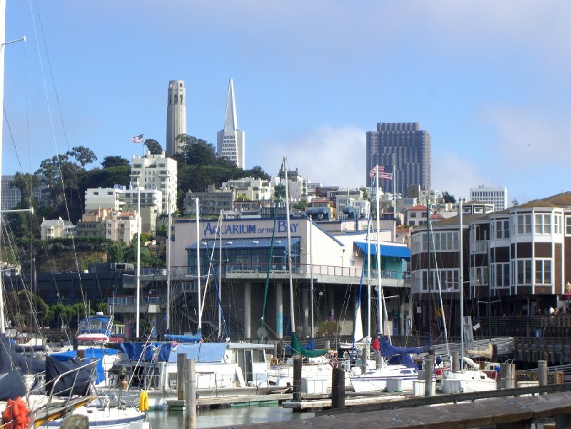   San Francisco United States Diary