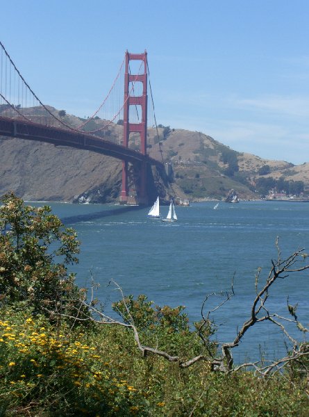   San Francisco United States Photography