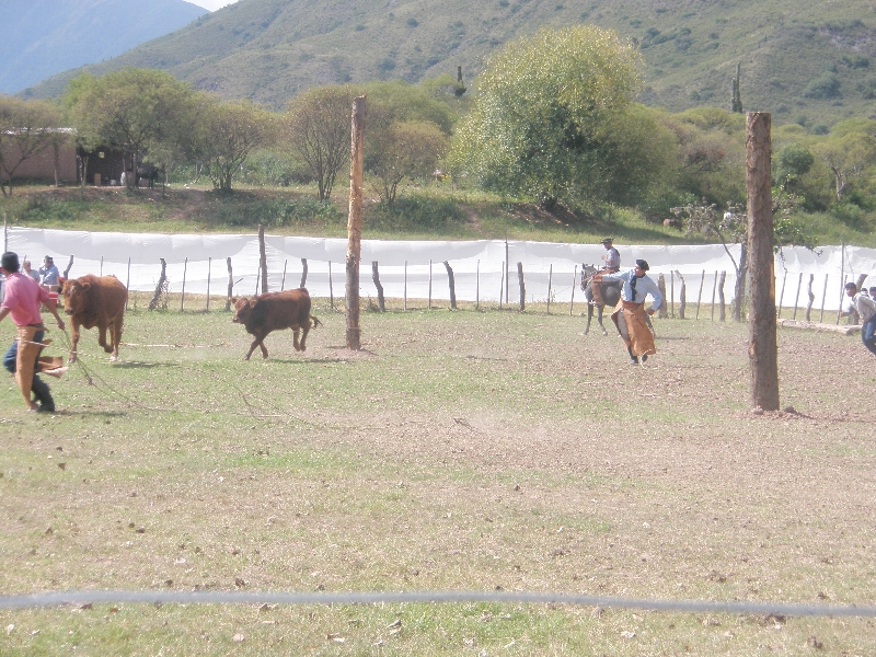 Photo Horse Riding with Argentinian Gauchos in Salta Gauchos