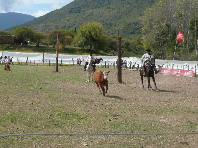 Photo Horse Riding with Argentinian Gauchos in Salta hundreds