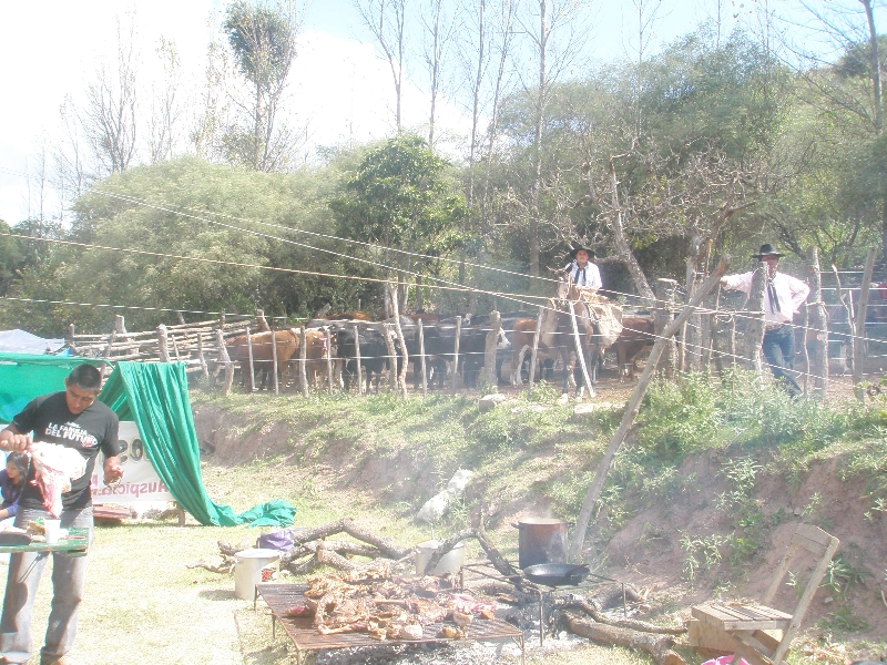 Photo Horse Riding with Argentinian Gauchos in Salta within