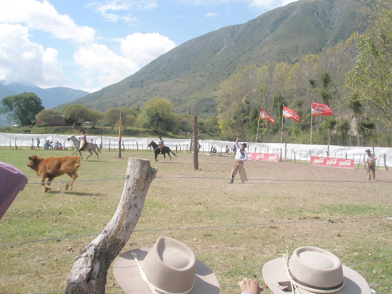 Photo Horse Riding with Argentinian Gauchos in Salta community