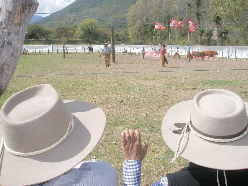 Photo Horse Riding with Argentinian Gauchos in Salta slaughtered