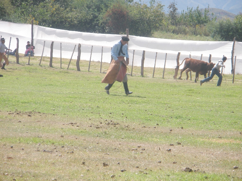 Photo Horse Riding with Argentinian Gauchos in Salta actually