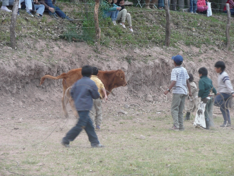 Horse Riding with Argentinian Gauchos in Salta Argentina Travel Blog