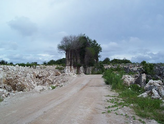 Nauru Island Pictures Yaren Story Sharing