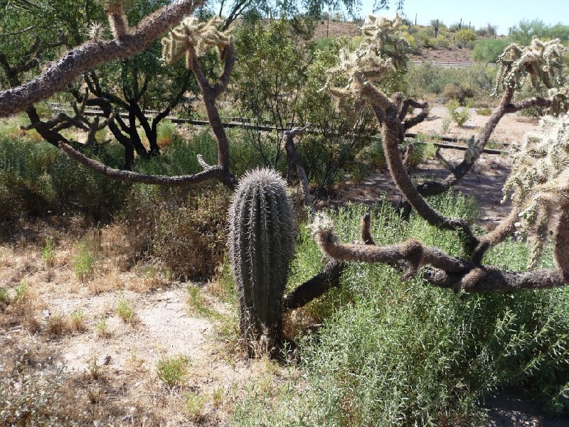 Apache Junction United States 