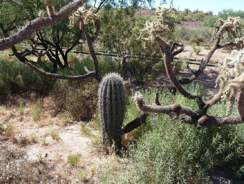 Apache Trail AZ Apache Junction United States Blog Picture