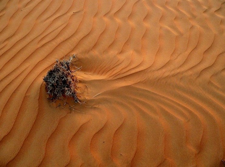 Wahiba Sands Desert Tour Oman Photo