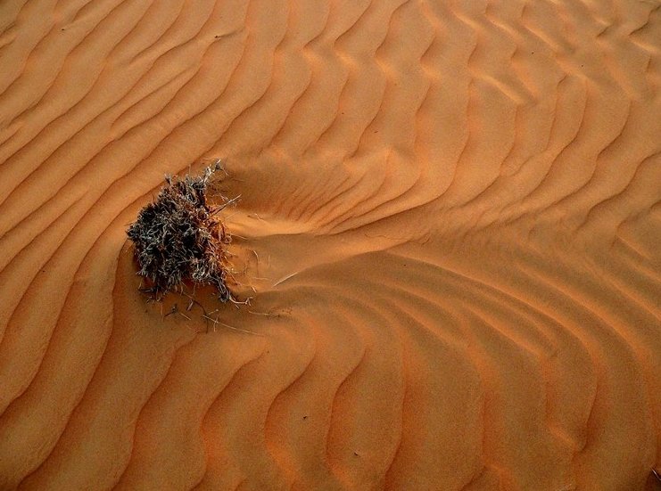 Photo Wahiba Sands Desert Tour people