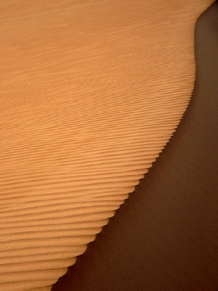 Wahiba Sands Desert Tour Oman Review