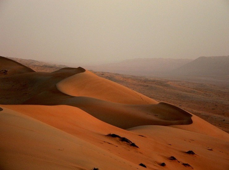 Wahiba Sands Desert Tour Oman Trip Experience