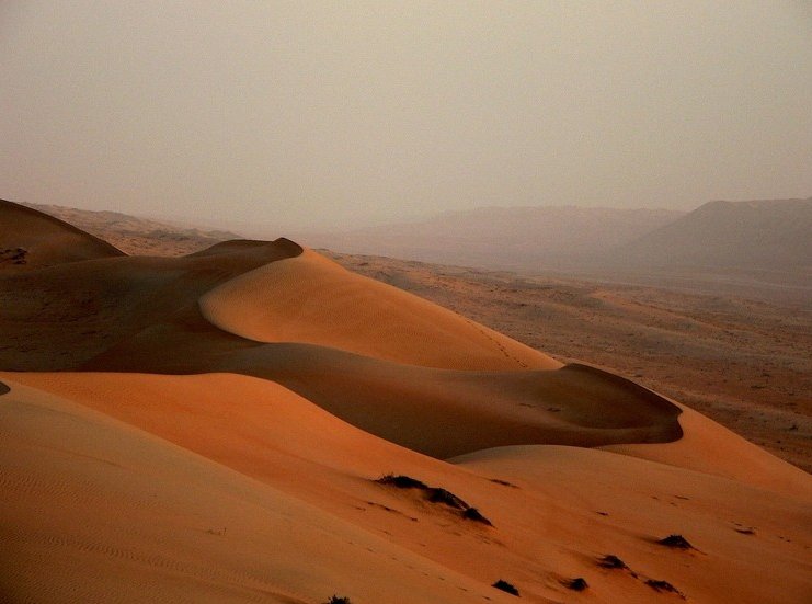 Photo Wahiba Sands Desert Tour friendly