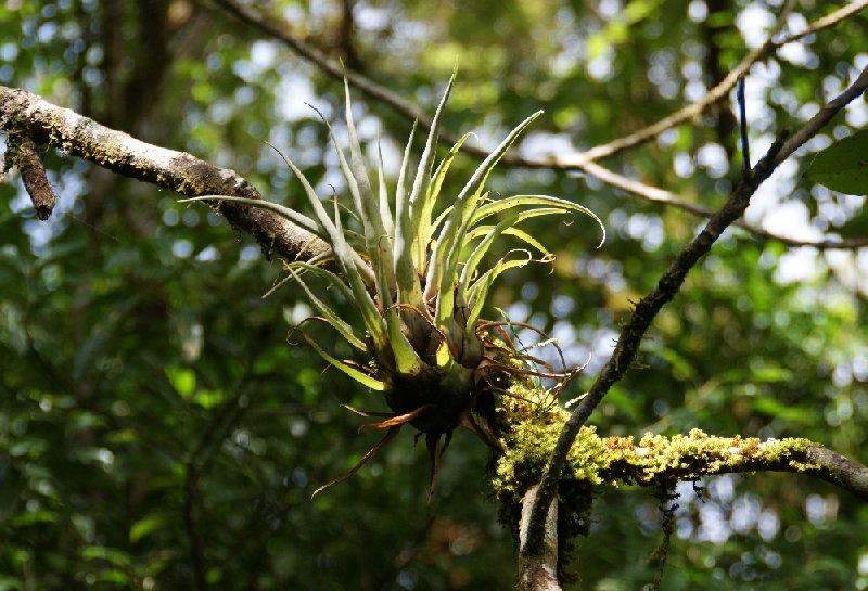 La Paz Waterfall Gardens Vara Blanca Costa Rica Travel Diary