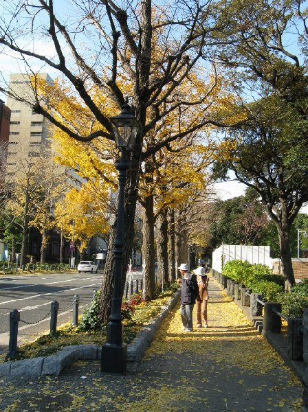 Yokohama City Japan 