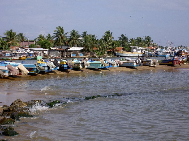 Negombo Sri Lanka 