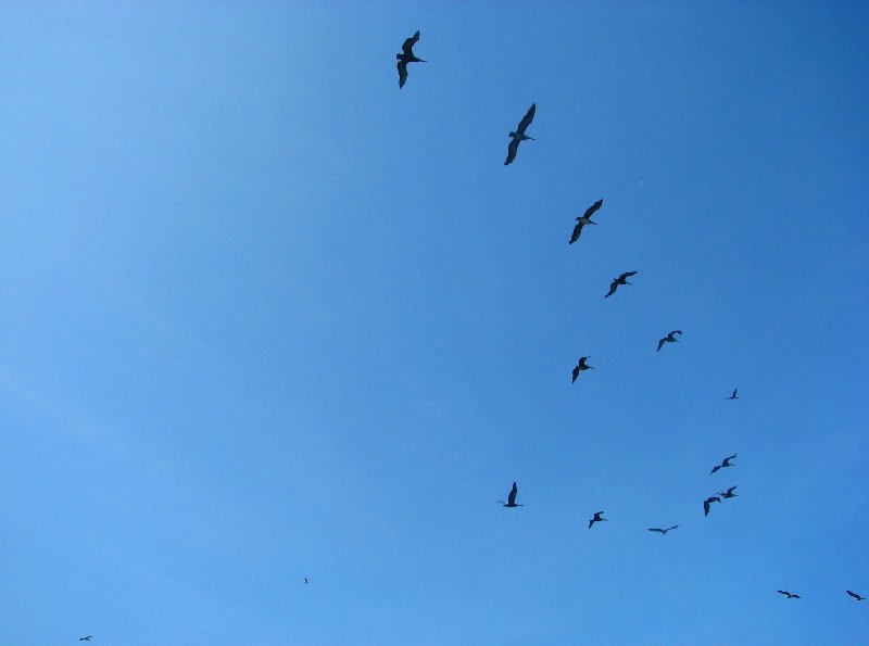 Photo Reserva Nacional de Paracas near Pisco travelled