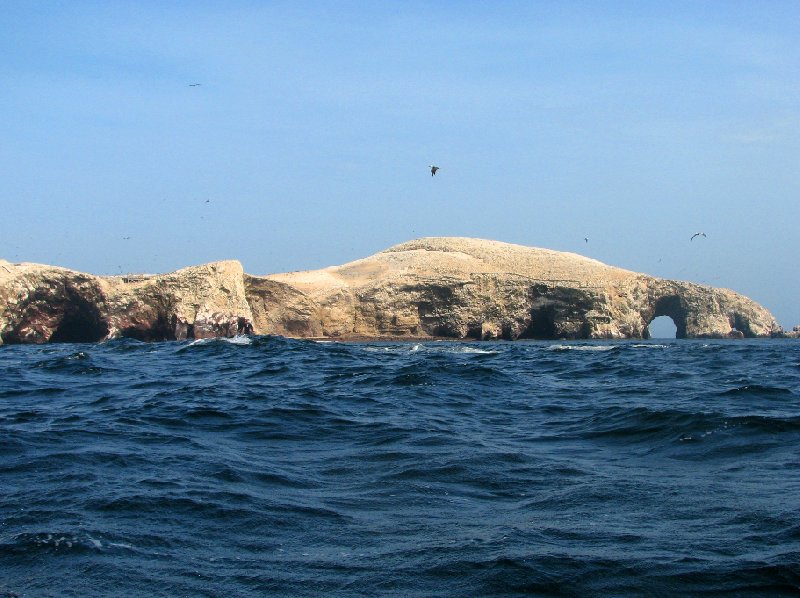 Photo Reserva Nacional de Paracas near Pisco wildlife