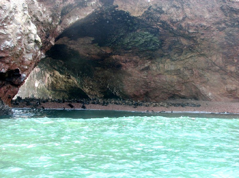 Photo Reserva Nacional de Paracas near Pisco Highway