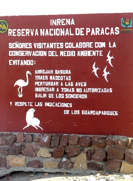   Pisco Peru Holiday Sharing