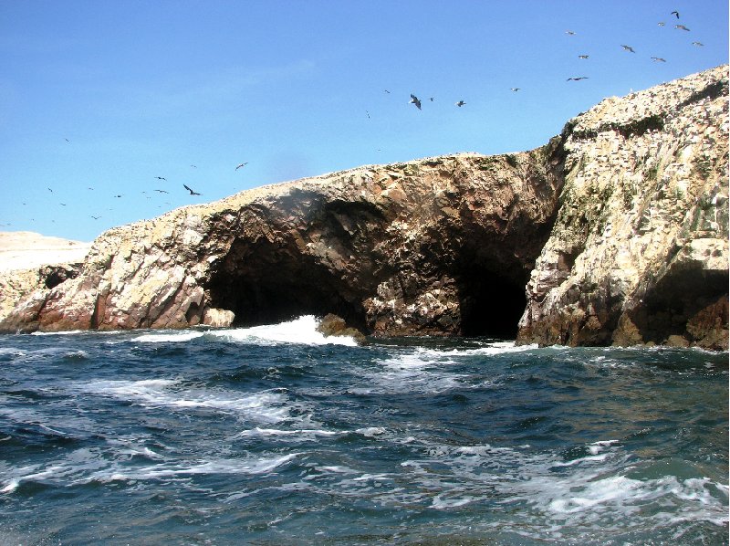 Reserva Nacional de Paracas near Pisco Peru Album Sharing