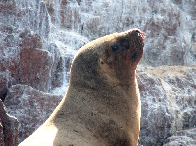 Reserva Nacional de Paracas near Pisco Peru Holiday Tips