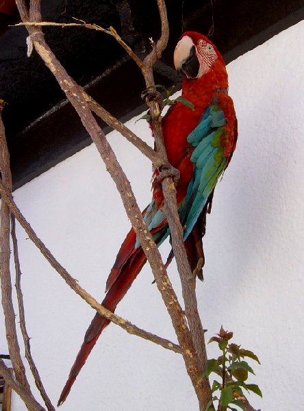 Tour Nazca Valley Peru Photograph