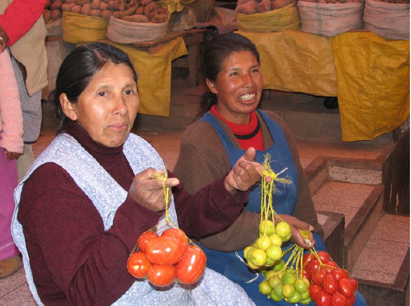 Monasterio de Santa Catalina Arequipa Peru Diary Sharing