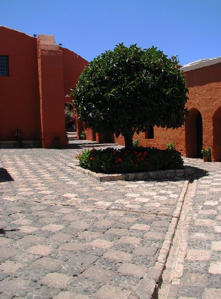 Monasterio de Santa Catalina Arequipa Peru Photos