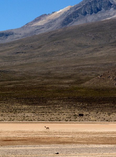 From Arequipe to Chivay and Colca Canyon Peru Travel Photographs