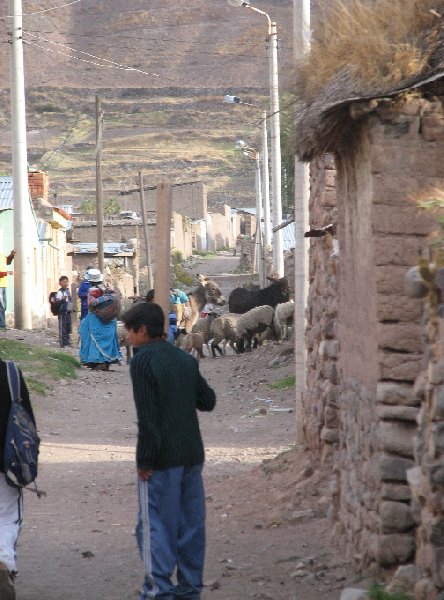 From Arequipe to Chivay and Colca Canyon Peru Vacation Experience