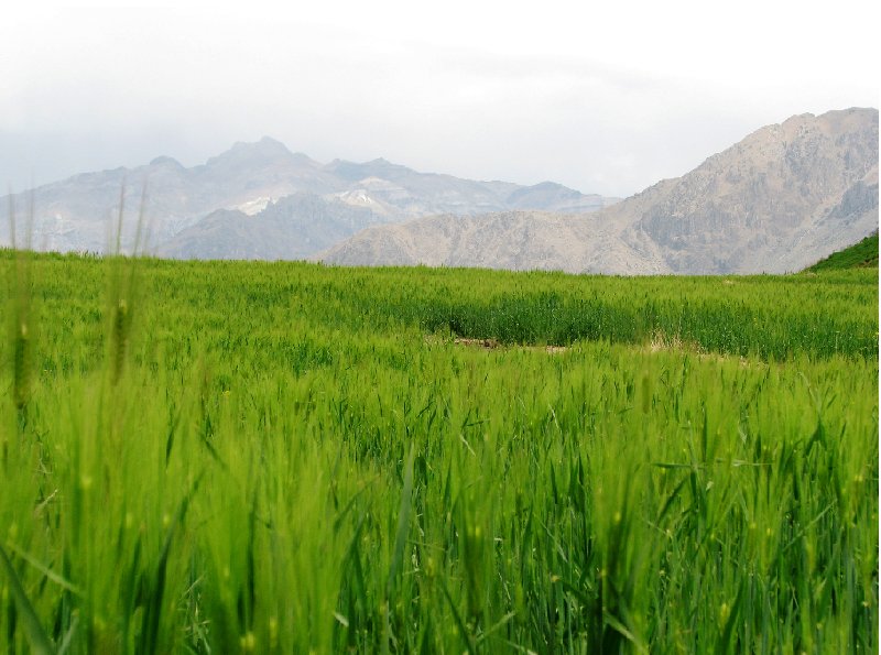 Photo Colca Canyon trek explore