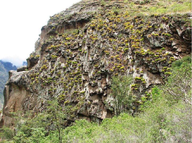 Photo Inca trail to Machu Picchu adventure