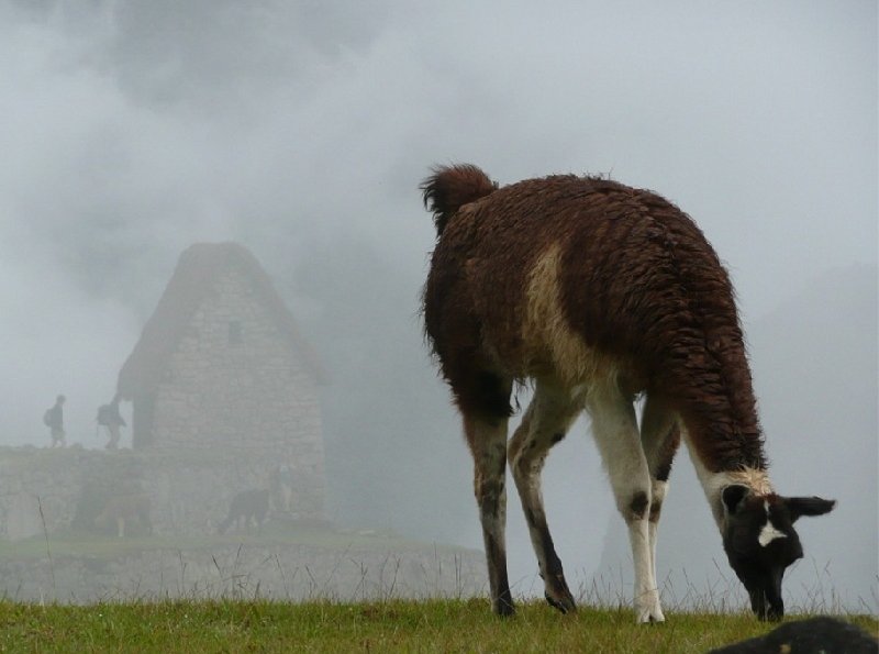 Photo Inca trail to Machu Picchu higher