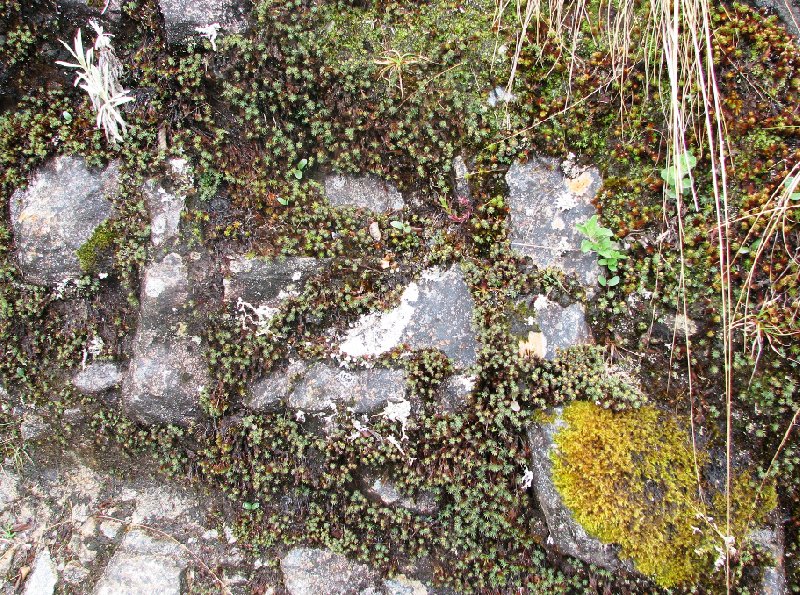 Photo Inca trail to Machu Picchu altitude