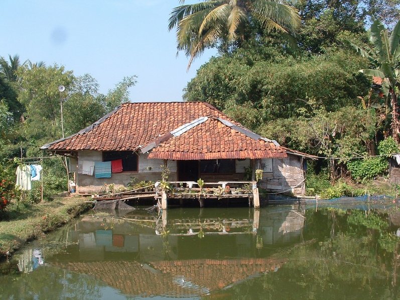 Photo Bogor Botanical Garden Indonesia